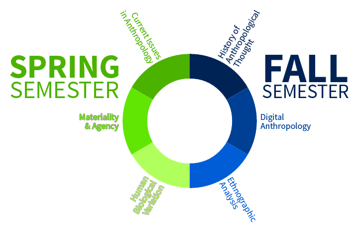 Diagram of six courses. Fall Semester: History of Anthropological Thought, Digital Anthropology, and Ethnographic Analysis. Spring Semester: Current Issues in Anthropology, Materiality and Agency, and Human Biological Variation